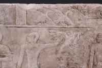 Egyptian Limestone Relief Carved in Shallow Relief