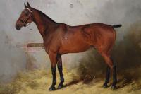 Horse portrait oil painting of a bay stallion by Henry Frederick Lucas Lucas