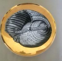 Piero Fornasetti Porcelain Gilt Rare Seashell Plates, Conchyliorum Pattern, Set of Six Plates 1950s