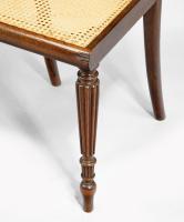 Regency period rosewood side chairs