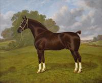 Sporting horse portrait oil painting of a hackney stallion in a landscape by William Albert Clark