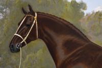 Sporting horse portrait oil painting of a hackney stallion in a landscape by William Albert Clark
