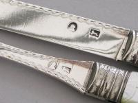 Mother of Pearl Folding Fruit Knife