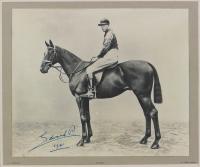Steeplechasing - An Equestrian Photographic Portrait Edward, Prince of Wales, 1921