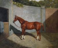 Sporting horse portrait oil painting of a chestnut hackney gelding in a stable yard by Frederick Albert Clark