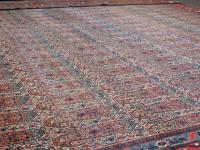 Large circa 1880 Senneh Carpet