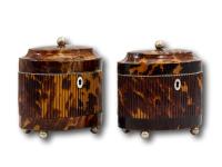 Overview of the two tortoiseshell tea caddies