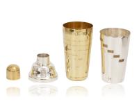 Overview of the tell me how cocktail shaker components