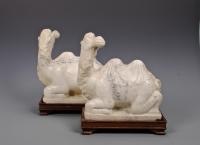 White Marble Camels