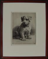 Herbert Dicksee "A Sealyham Pup" original etching