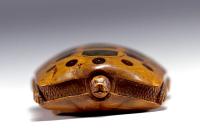19th Century Turtle Snuff Box