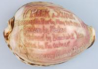Carved antique shell commemorating Derby Winner