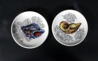 Mid-century Modern Ceramic Coasters decorated with Sea Shells, Possibly Bucciarelli, 1960s.
